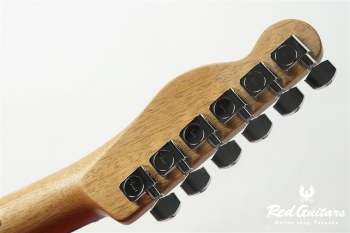 Acoustasonic Player Telecaster - Arctic White